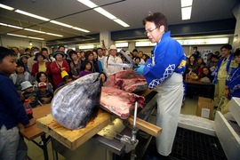 西海の恵直売所 『土曜特市 』 『日曜朝市』 - 街・地域／バーゲン 